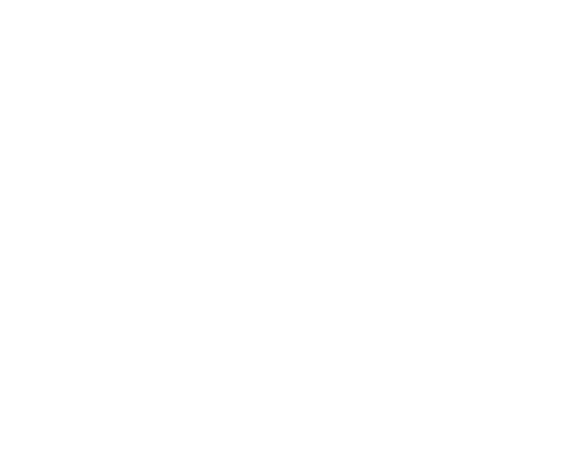 Logo PixelBloom